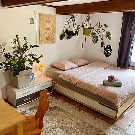 Cozy Room In An Old Farmhouse Near Vaduz Sevelen Luaran gambar
